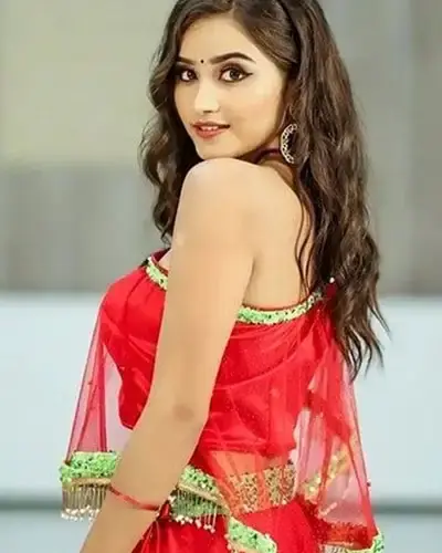 Escort In Narpatganj